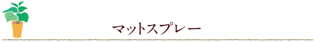 マットスプレー